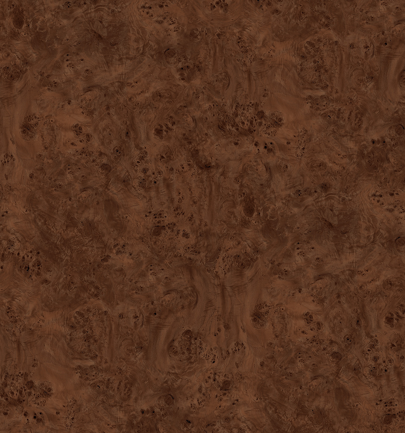 老钱树瘤-红胡桃