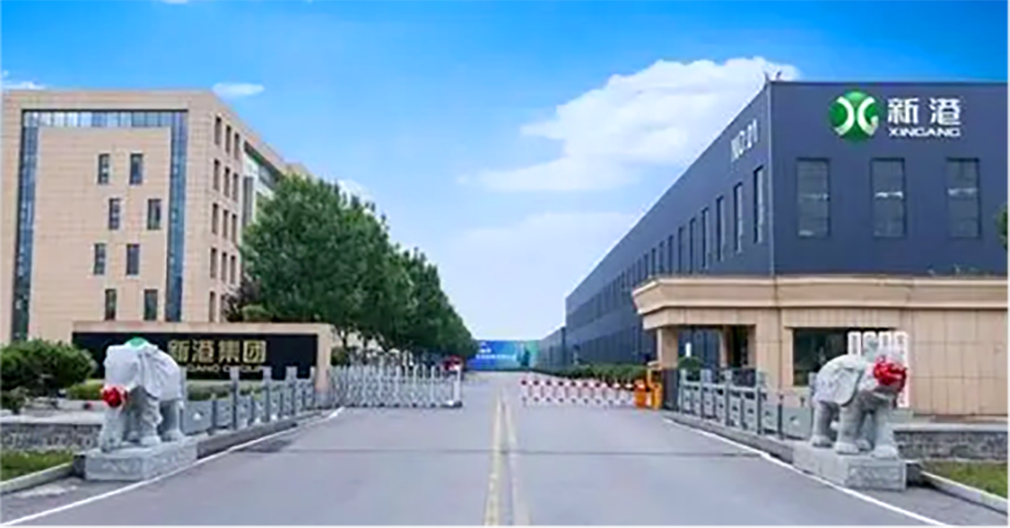 新港集团